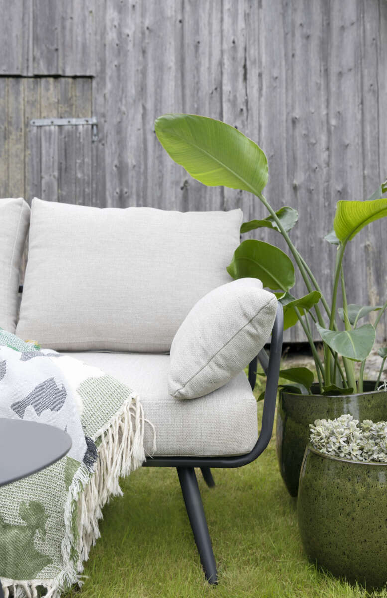 Odle Royal Pisa potte