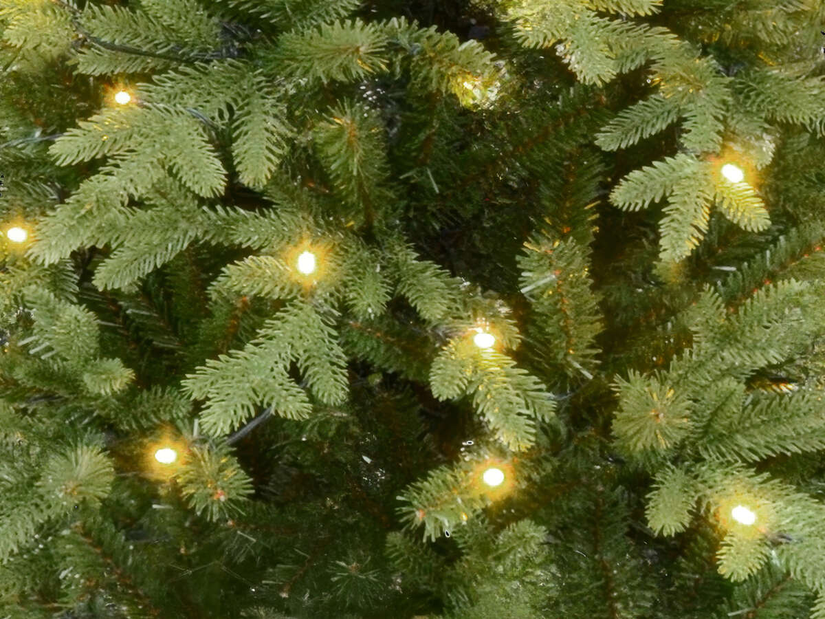 Trysil juletre slim 180 cm