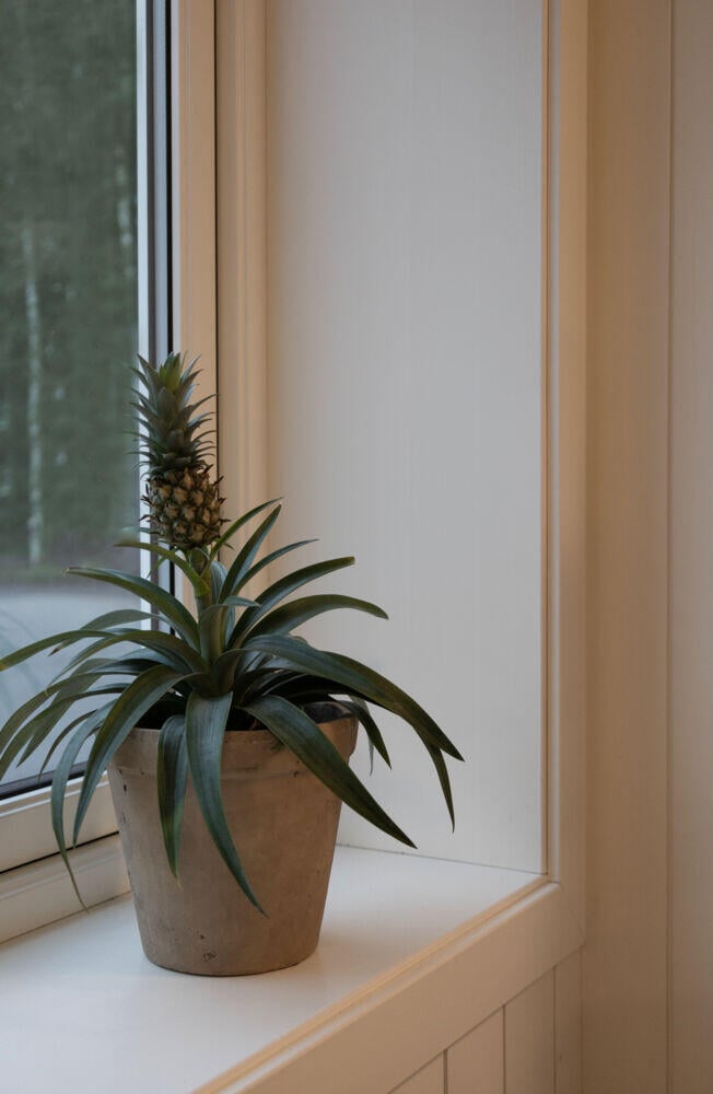 Combiwood 18x95 Dørsett utforing malt