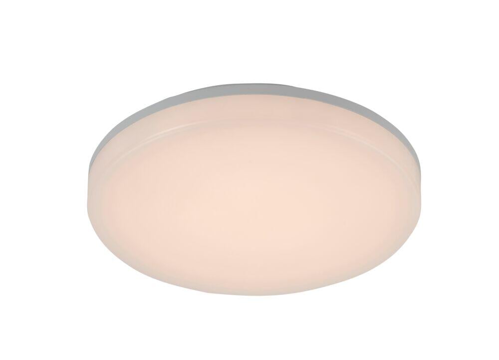 Taro plafond