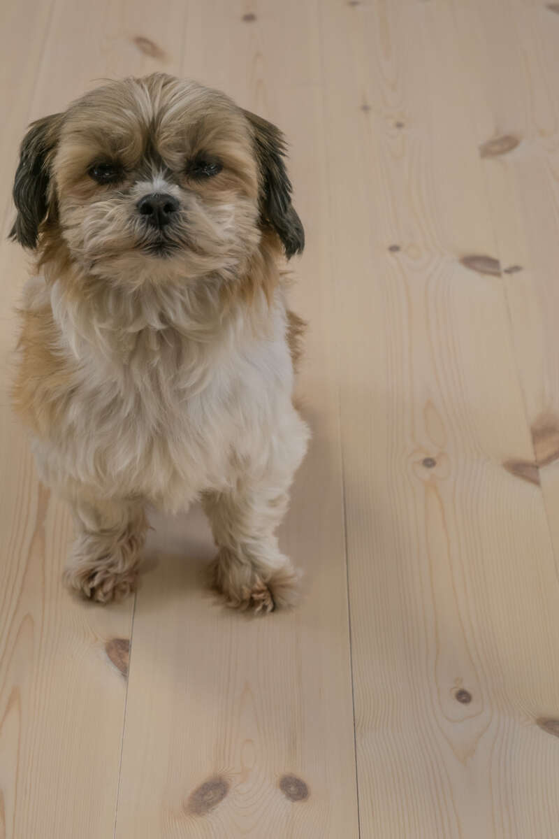 Moelven Arctic Natur furu heltregulv 20x142