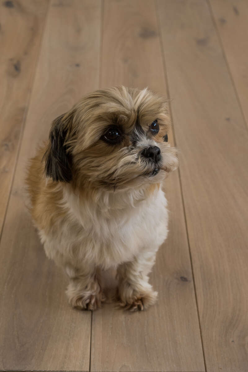 Moelven Arctic Rustic børstet eik heltregulv 20x147