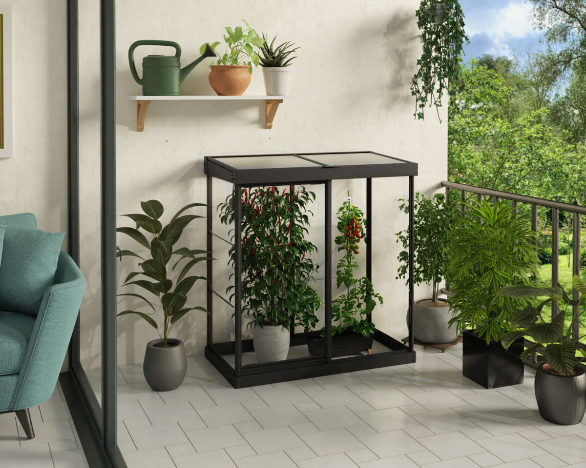 Palram - Canopia Ivy mini drivhus 0,8 m²