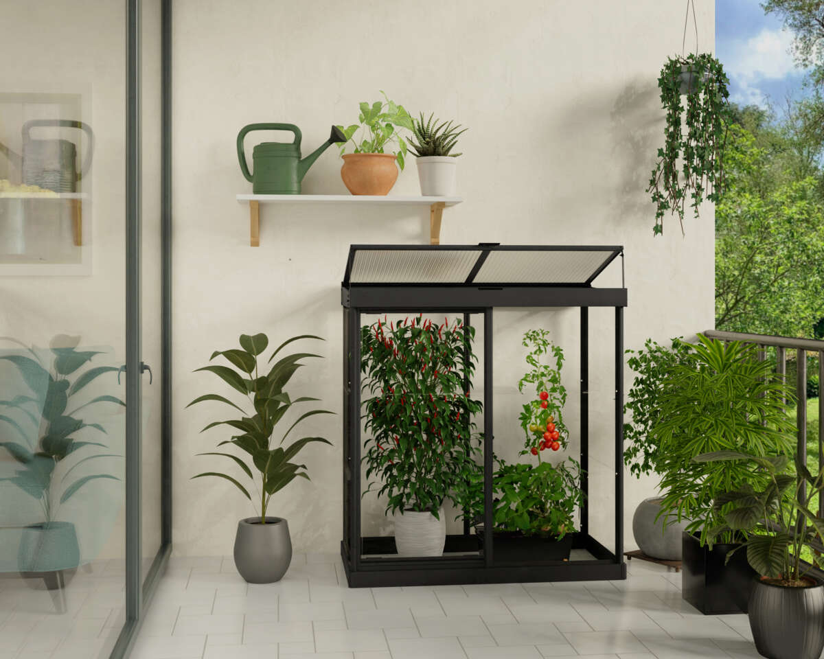 Palram - Canopia Ivy mini drivhus 0,8 m²
