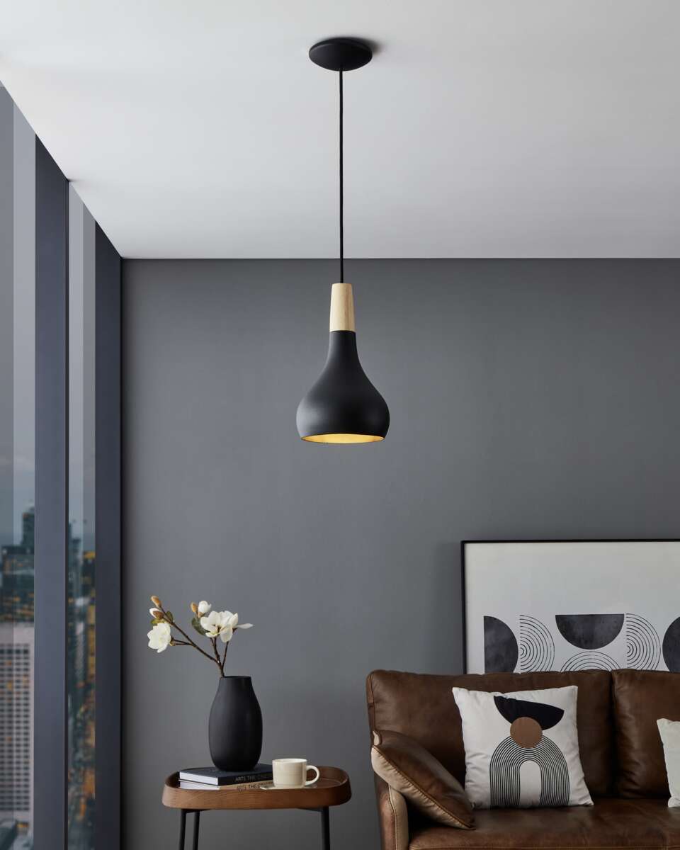 Eglo Sabinar taklampe