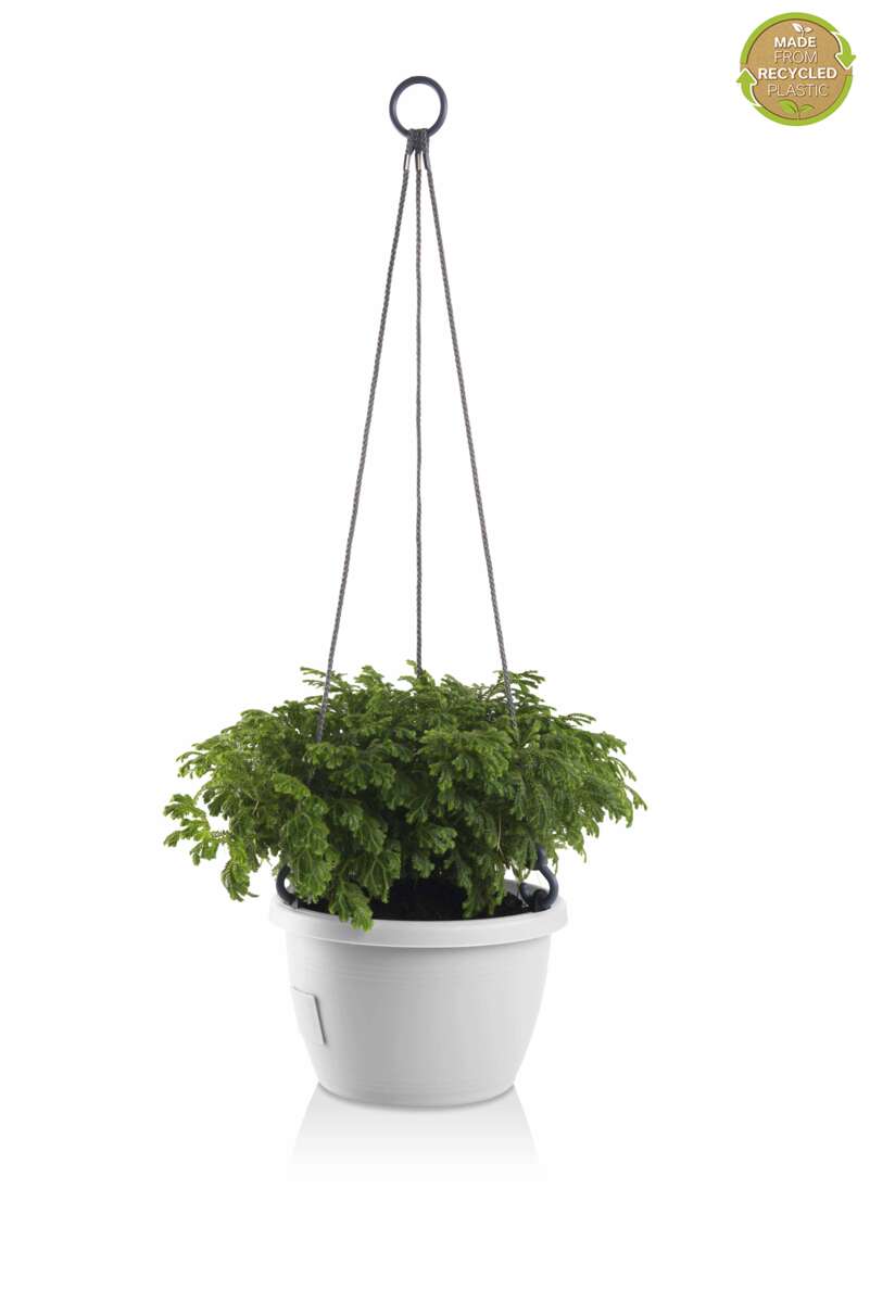 Odle Marina ampel m/selvvanning