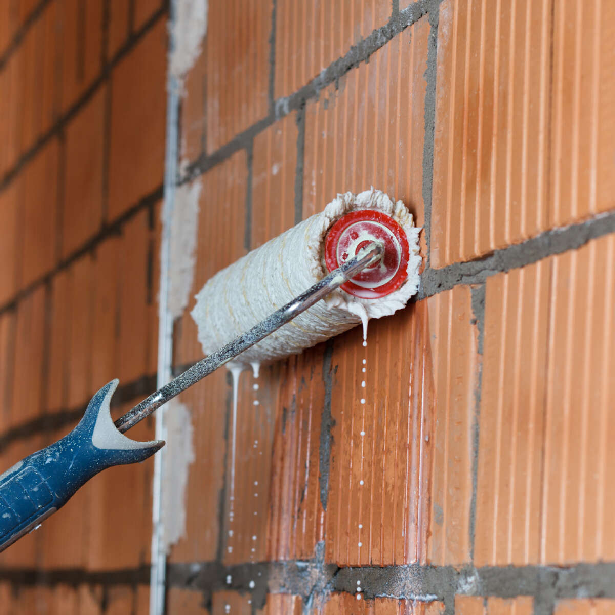 Robust Primer Universal