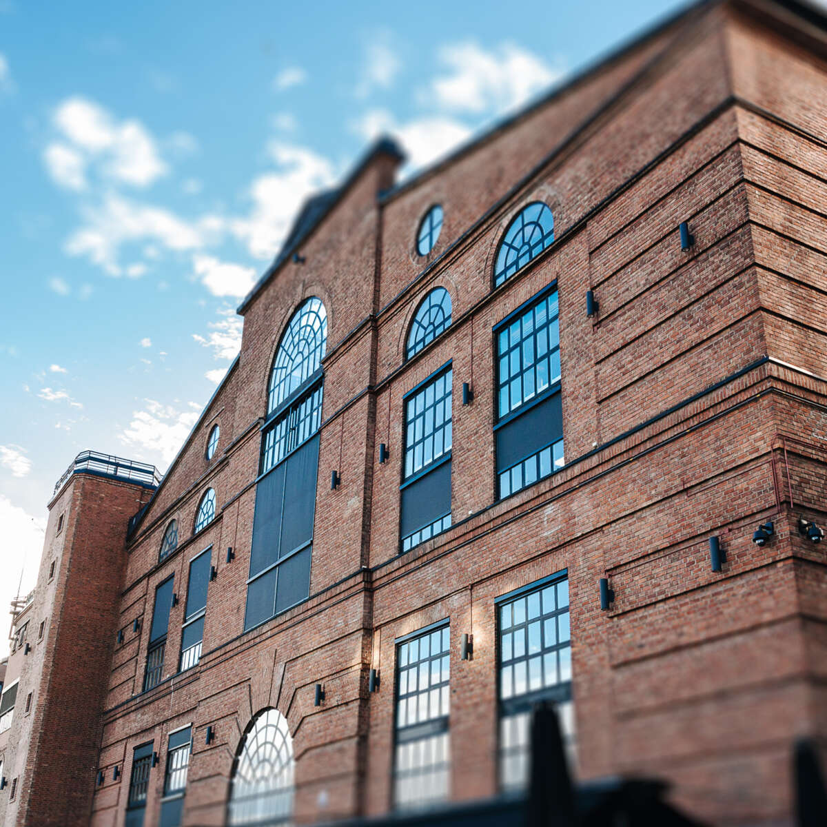 Robust Kalkmørtel 50/50