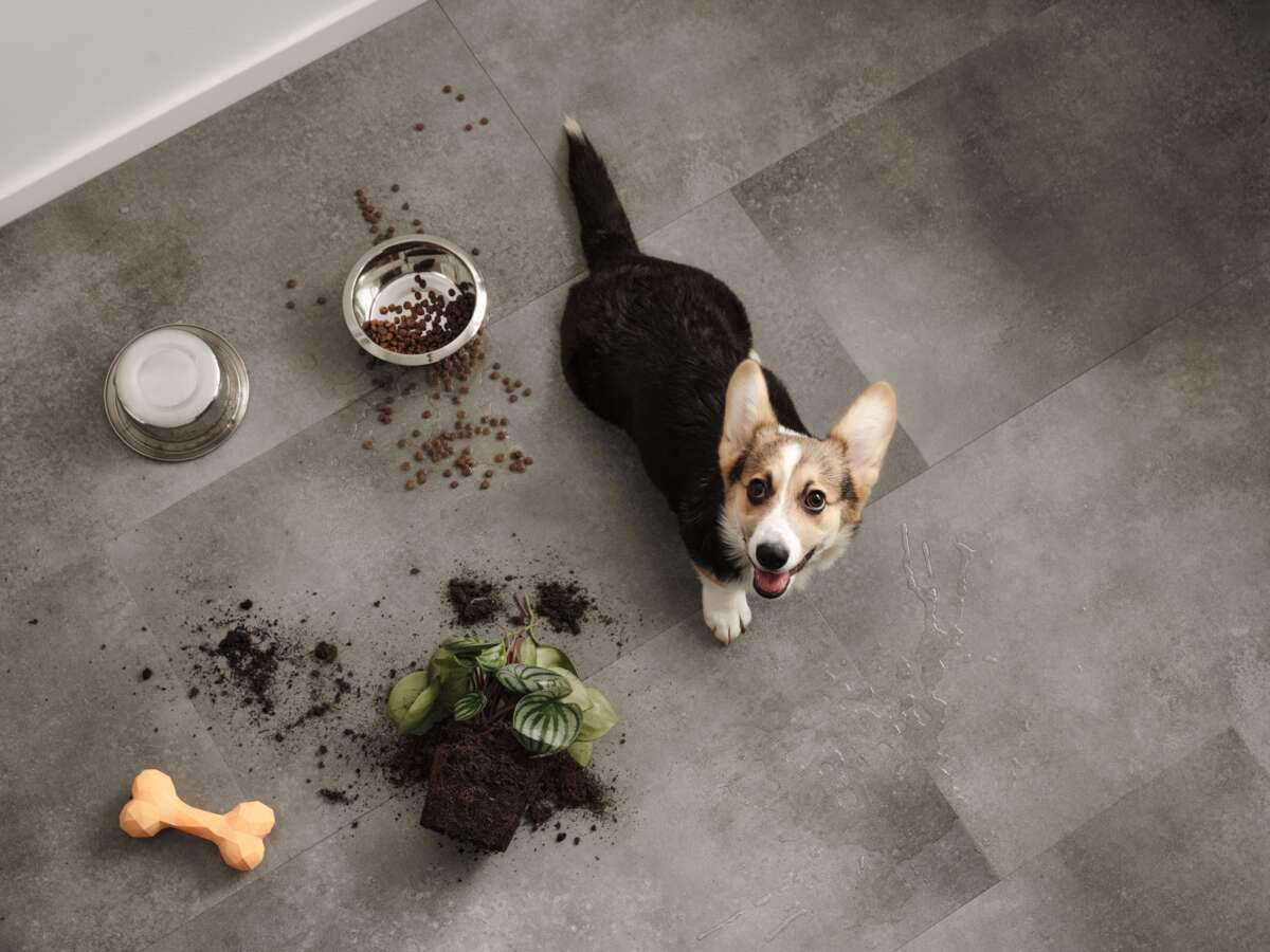 Pergo Limfjord Pad Pro Rigid flis vinylgulv m/underlag