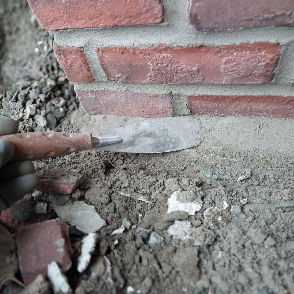 Robust Mureskje Tunge