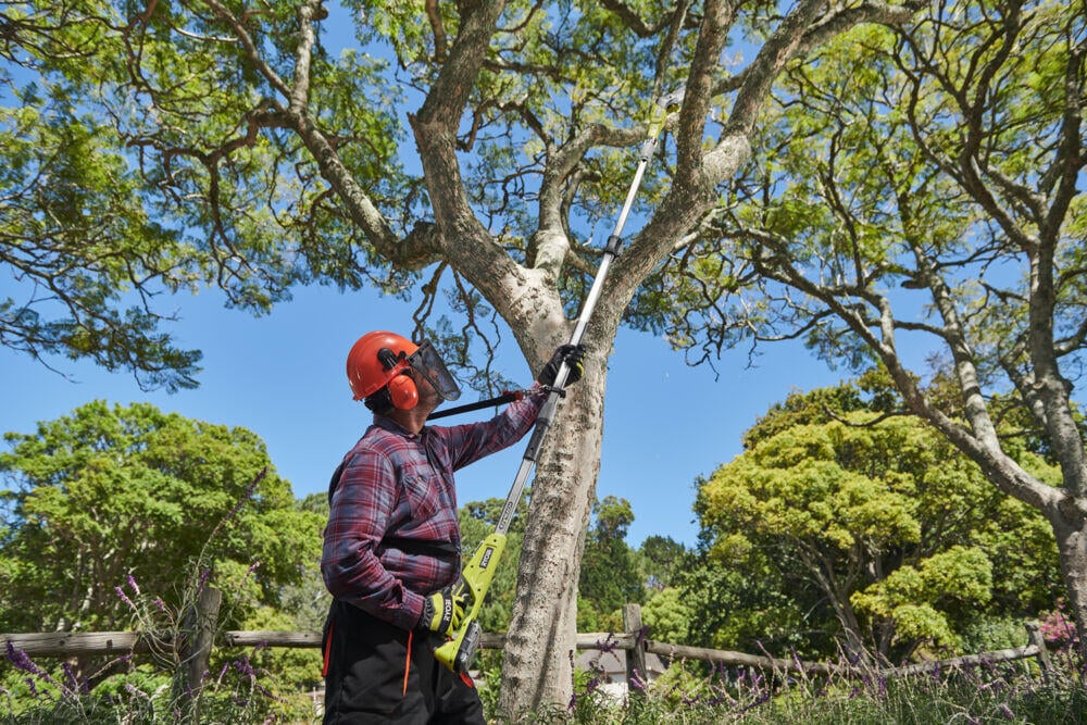 18V ONE+™ 20 cm Teleskopisk grensag