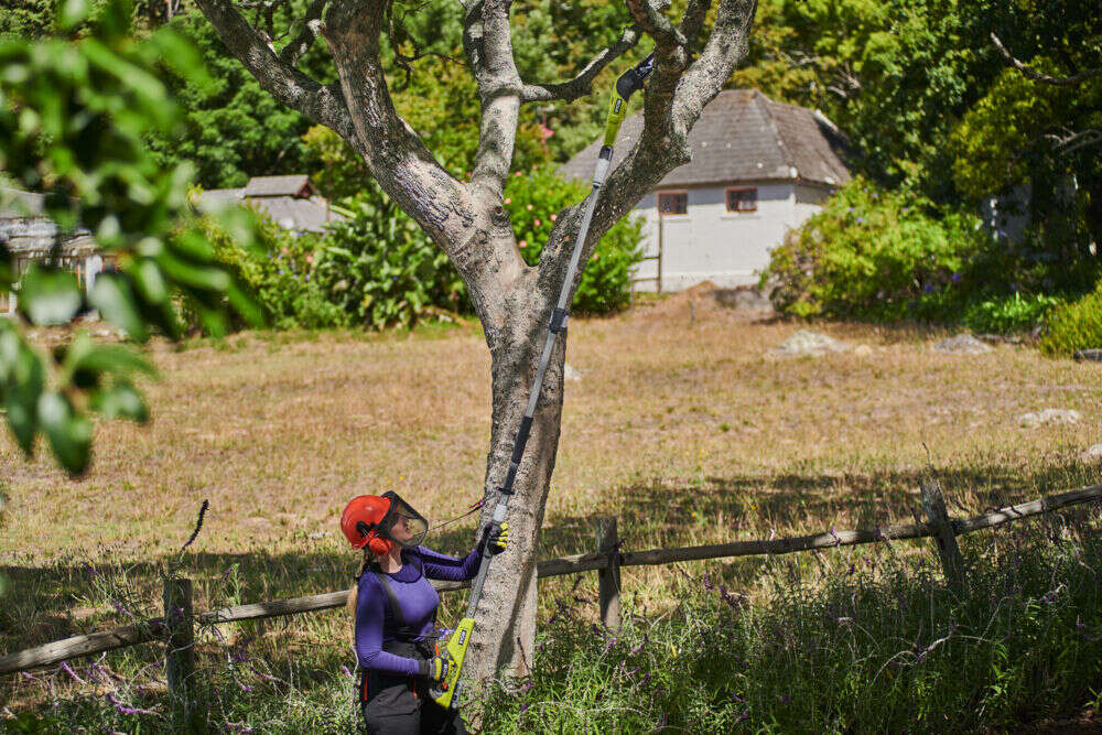 18V ONE+™ 20 cm Teleskopisk grensag