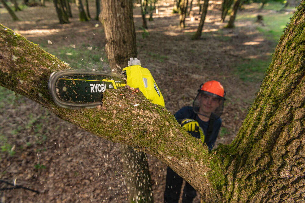 MAX POWER Forlengbar Grensag 25 cm u/batteri