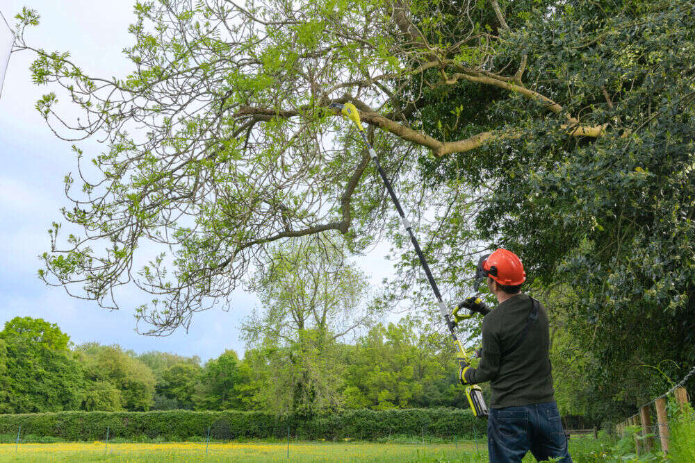 MAX POWER Forlengbar Grensag 25 cm u/batteri