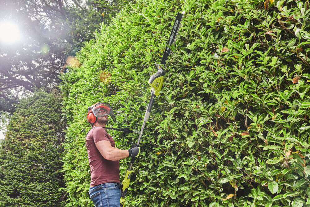 36V MAX POWER Forlengbar Hekksaks 50 cm u/ batteri