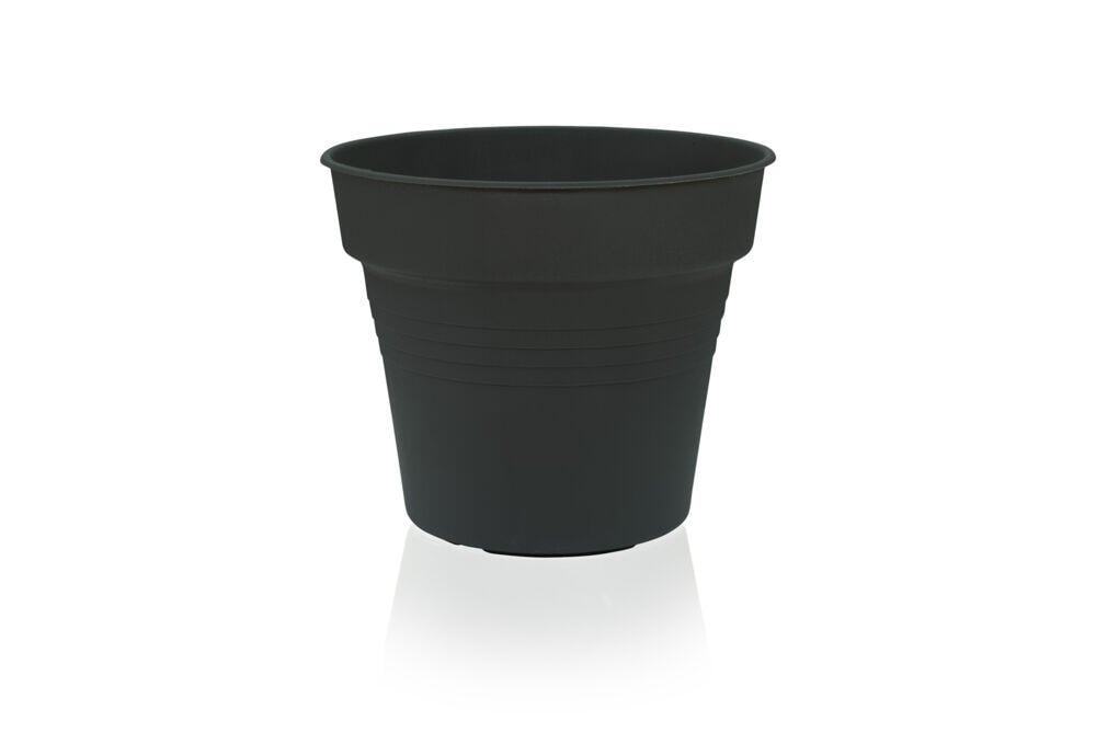 Gardenico Camelie plantepotte