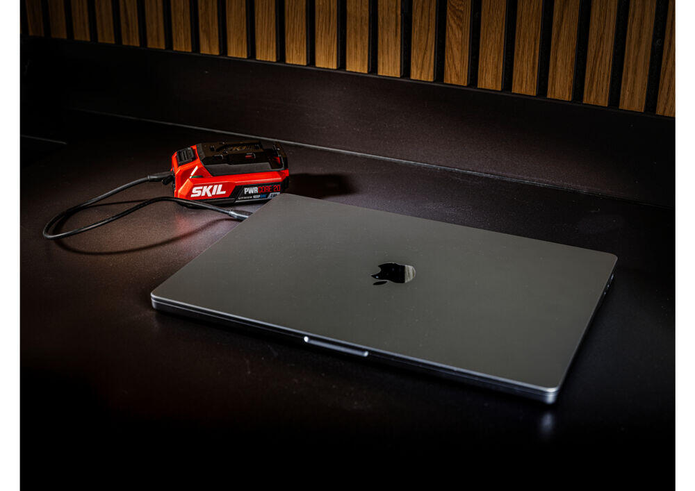 Skil 3142 AA 20V Max Lithium-Ion 2,0 Ah PWRASSIST™ USB-C-batteri