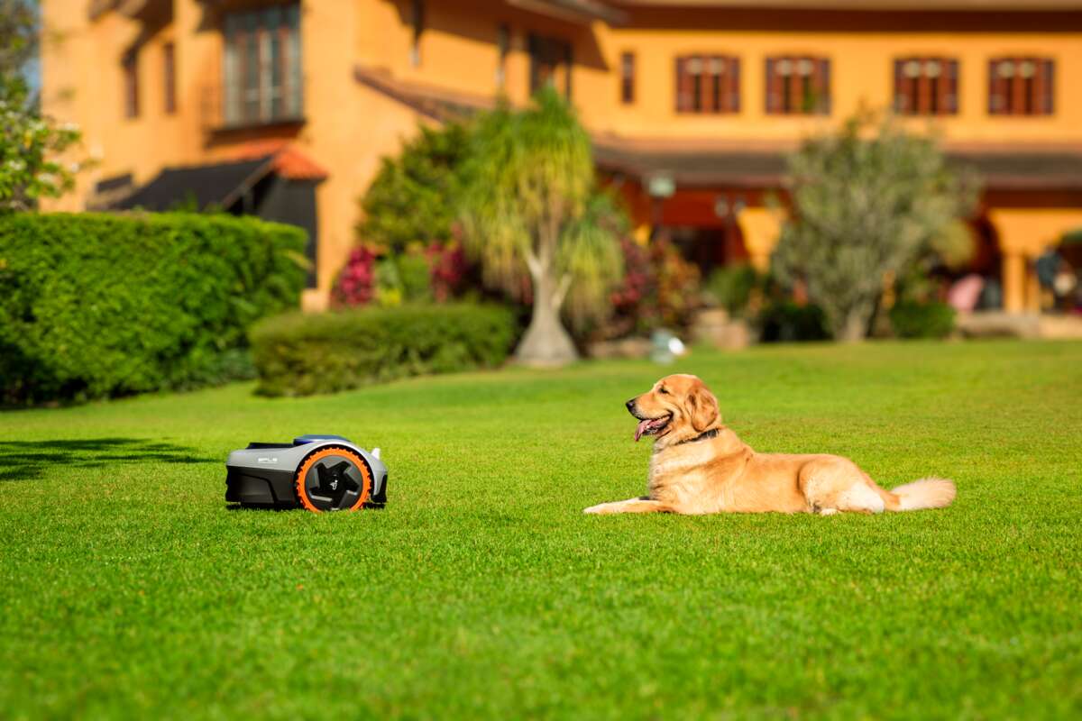 Segway Navimow 105E robotklipper m/terrenghjul