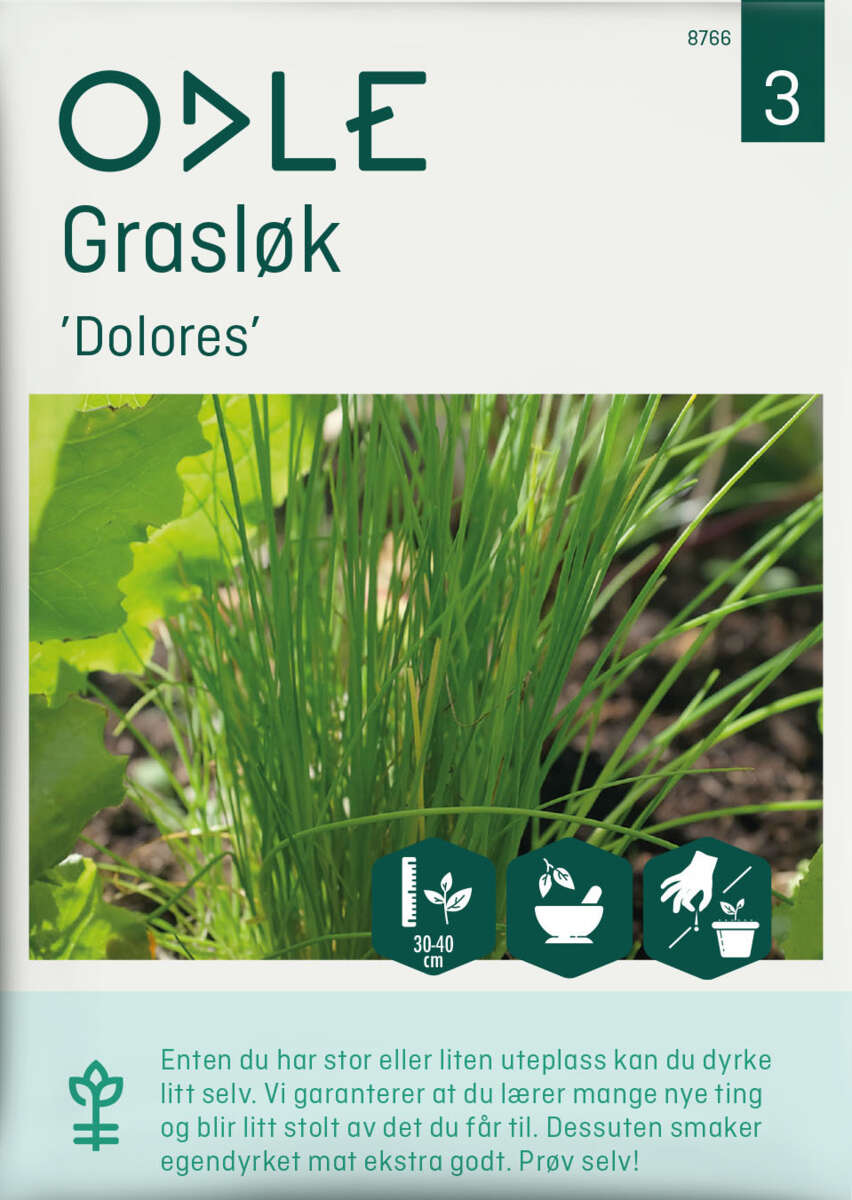 Odle grasløk, Dolores frø