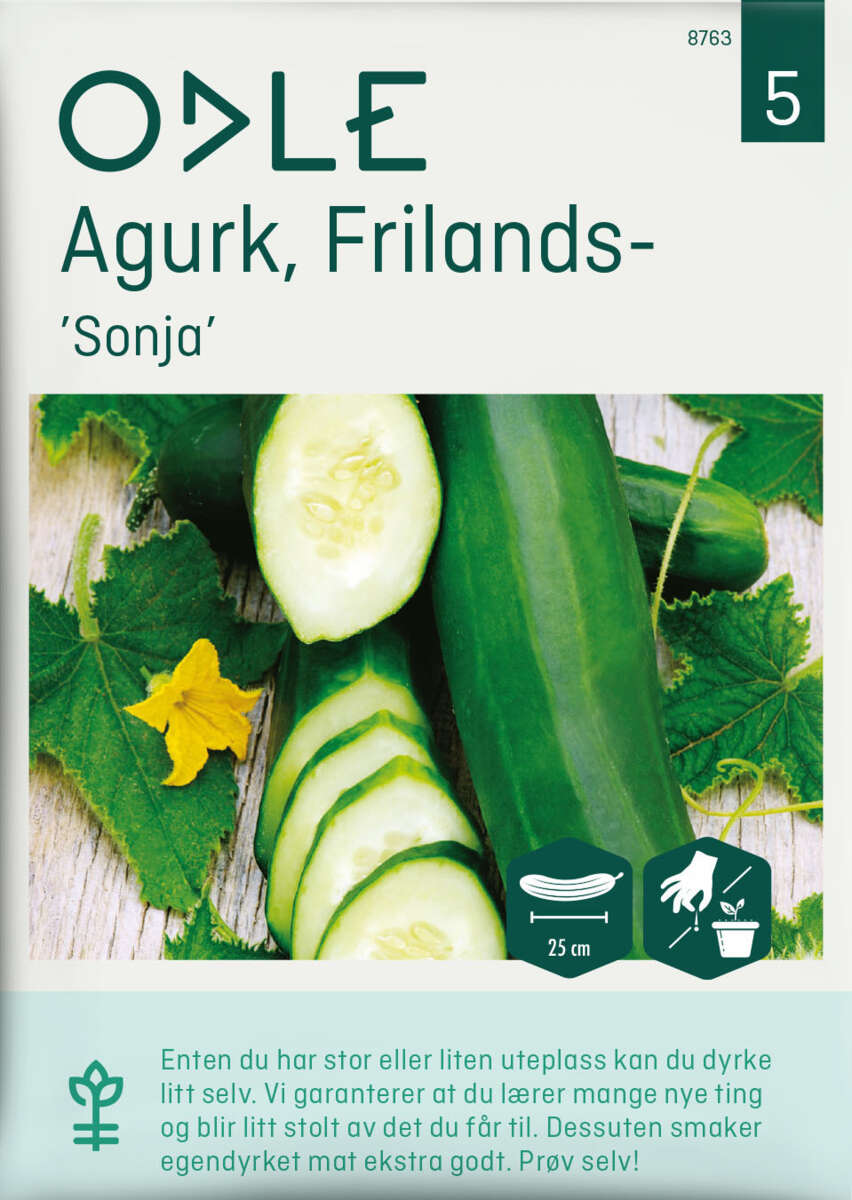 Odle agurk, frilands-, sonja frø
