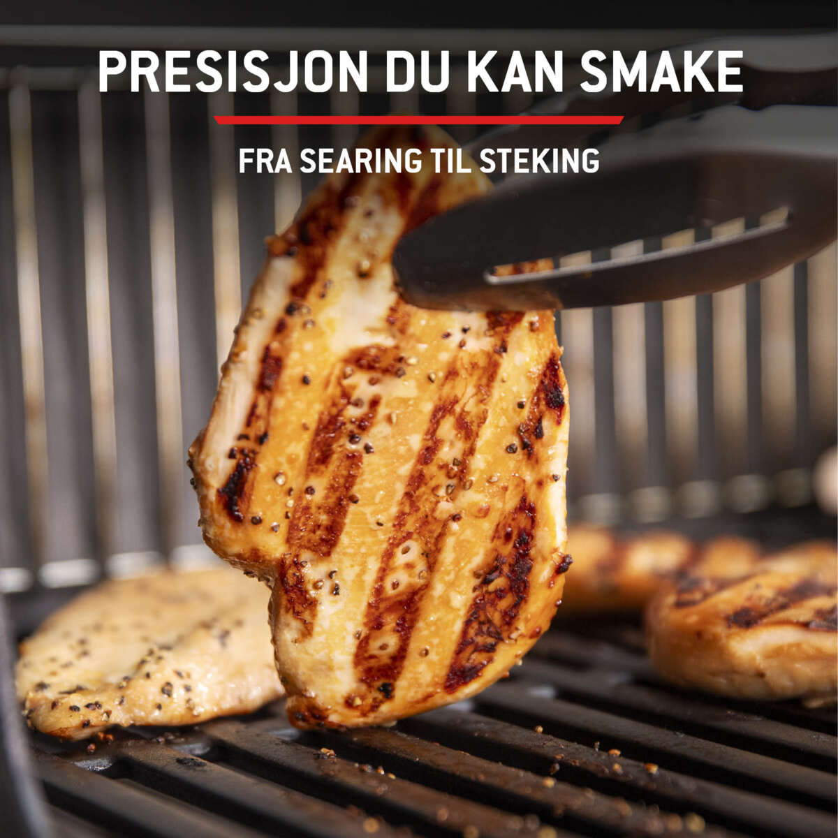 Weber Spirit E-425 gassgrill