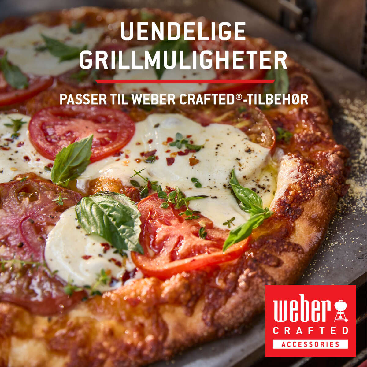 Weber Spirit E-425 gassgrill