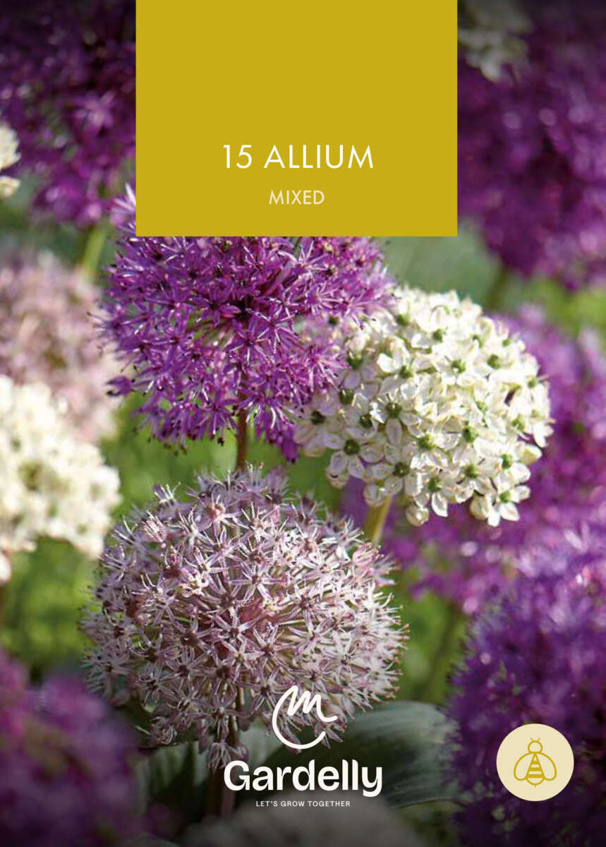 Nelson Garden Allium, Mixed høstløk 15