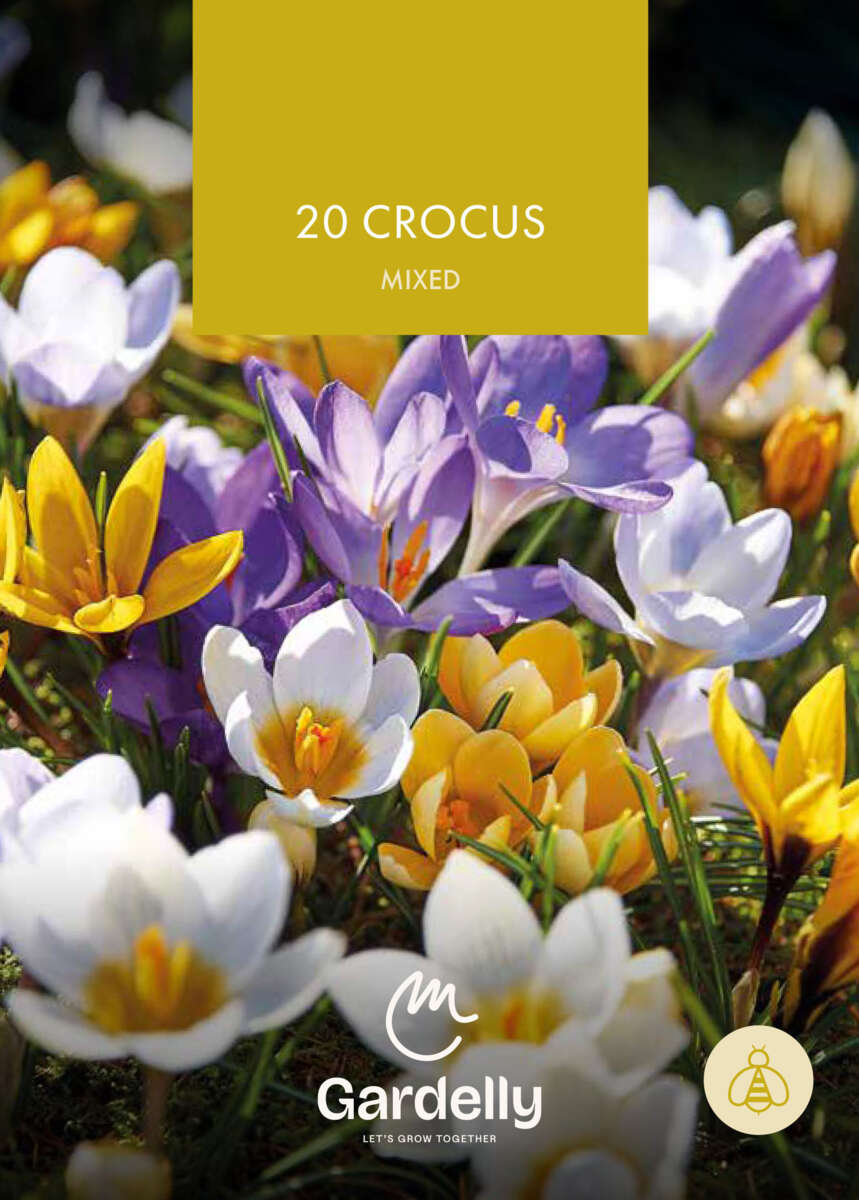 Nelson Garden Crocus, Botanical, Mixed 20