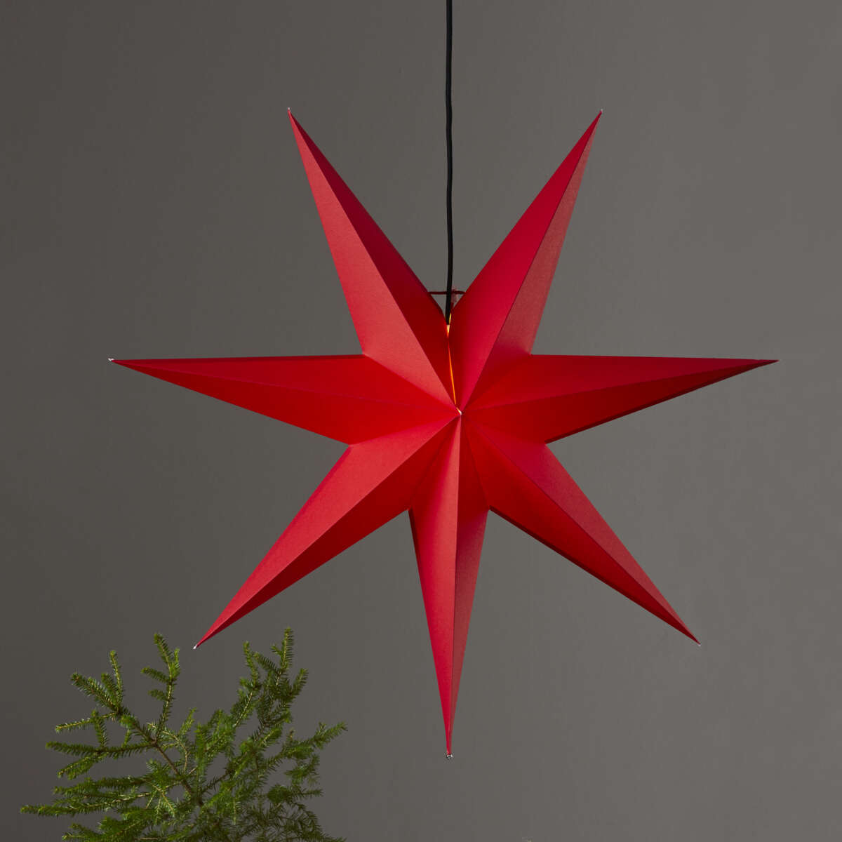 Rozen adventsstjerne