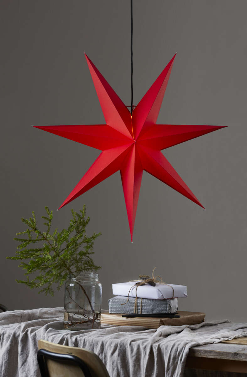 Rozen adventsstjerne