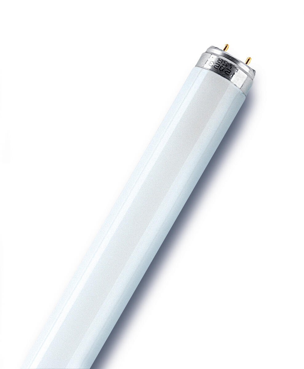 Osram Lumilux T8 36 W lysrør