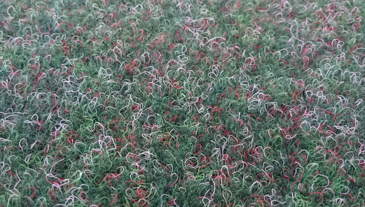 Gressteppe meadow 2x5m