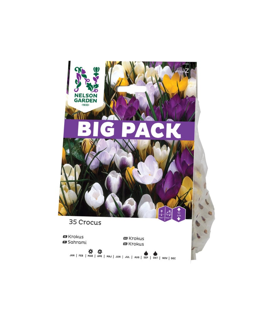 Høstløk Krokus mix