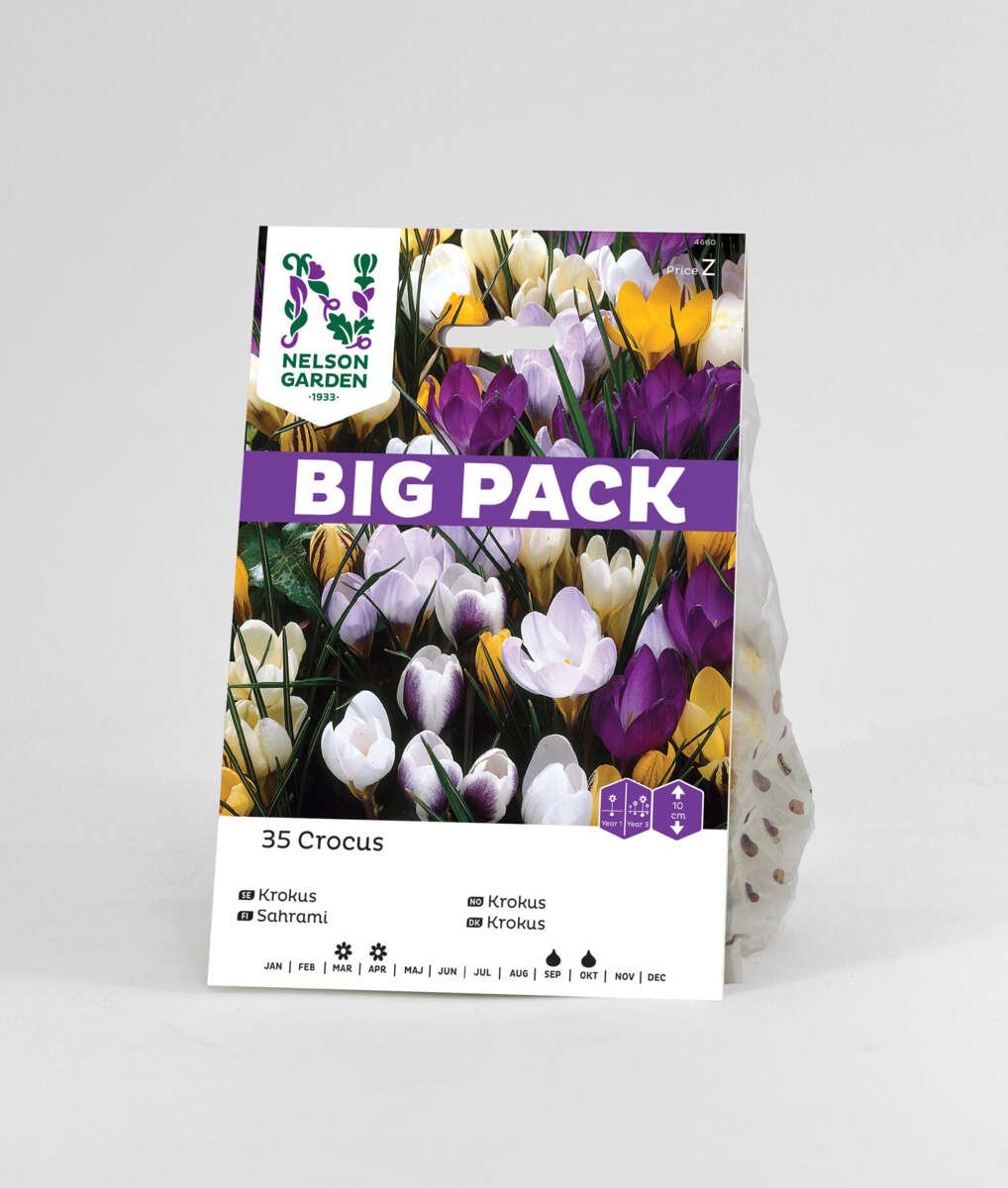 Høstløk Krokus mix