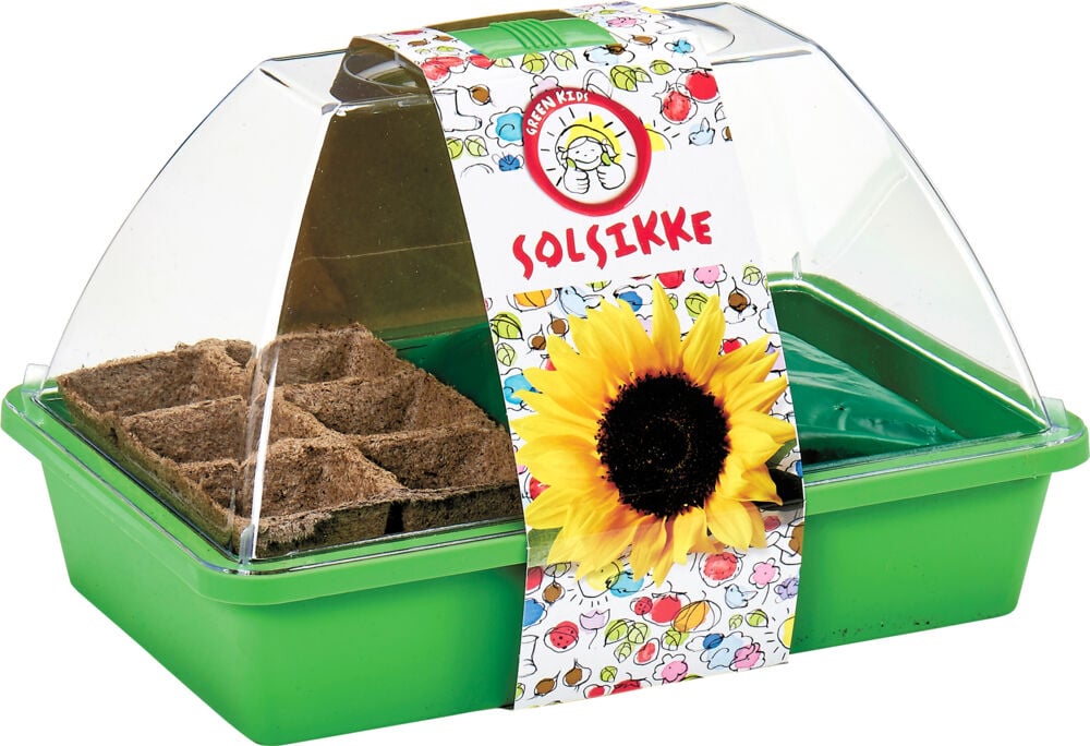 Stor drivhus solsikke inkludert kokos planter og voksende medium