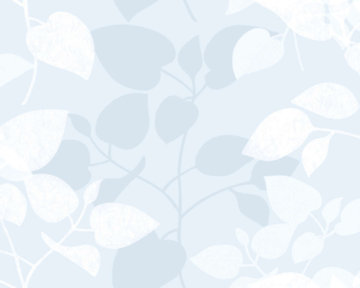 d-c Fix statisk vindusfolie Amena 3340018