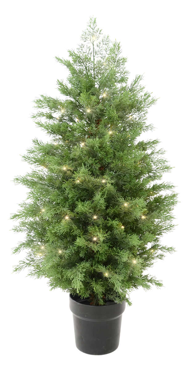 Thuja-busk med LED-lys i potte