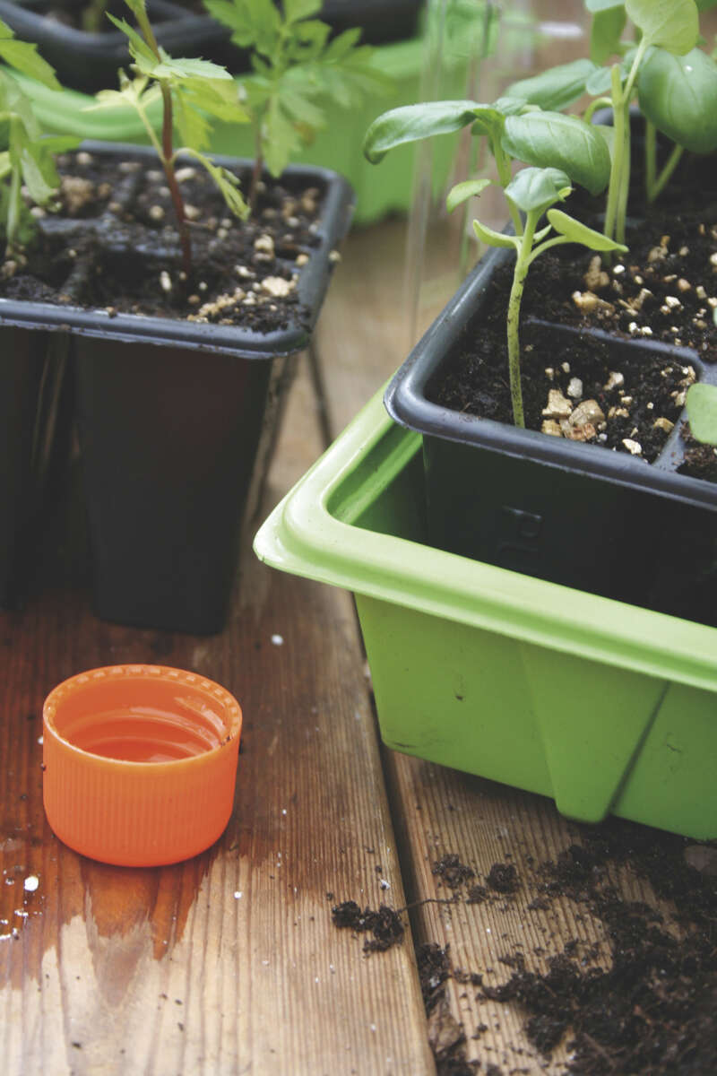 Nelson Garden Small minidrivhus