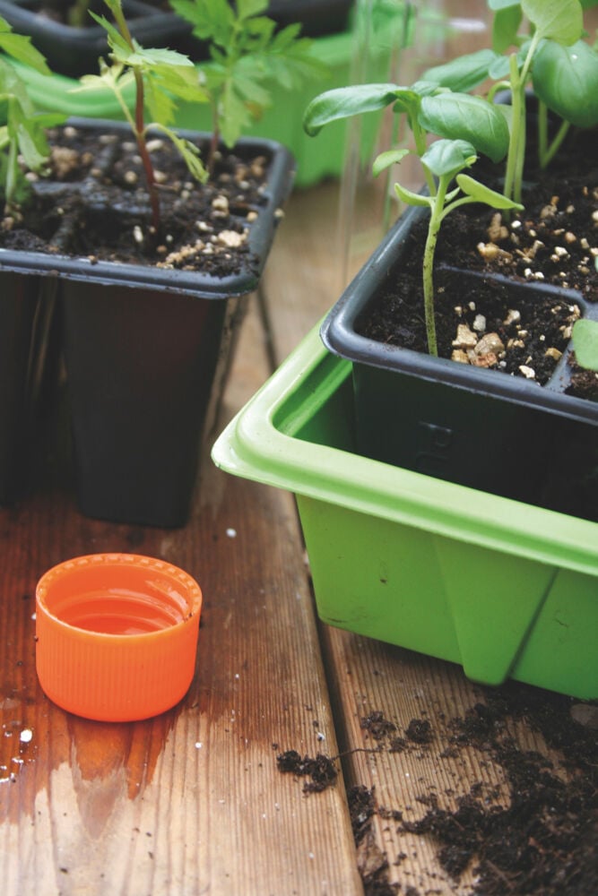 Nelson Garden Small minidrivhus