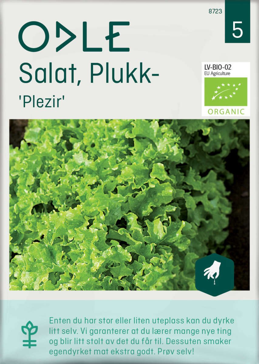 Odle 'Plezirl' plukk salat frø