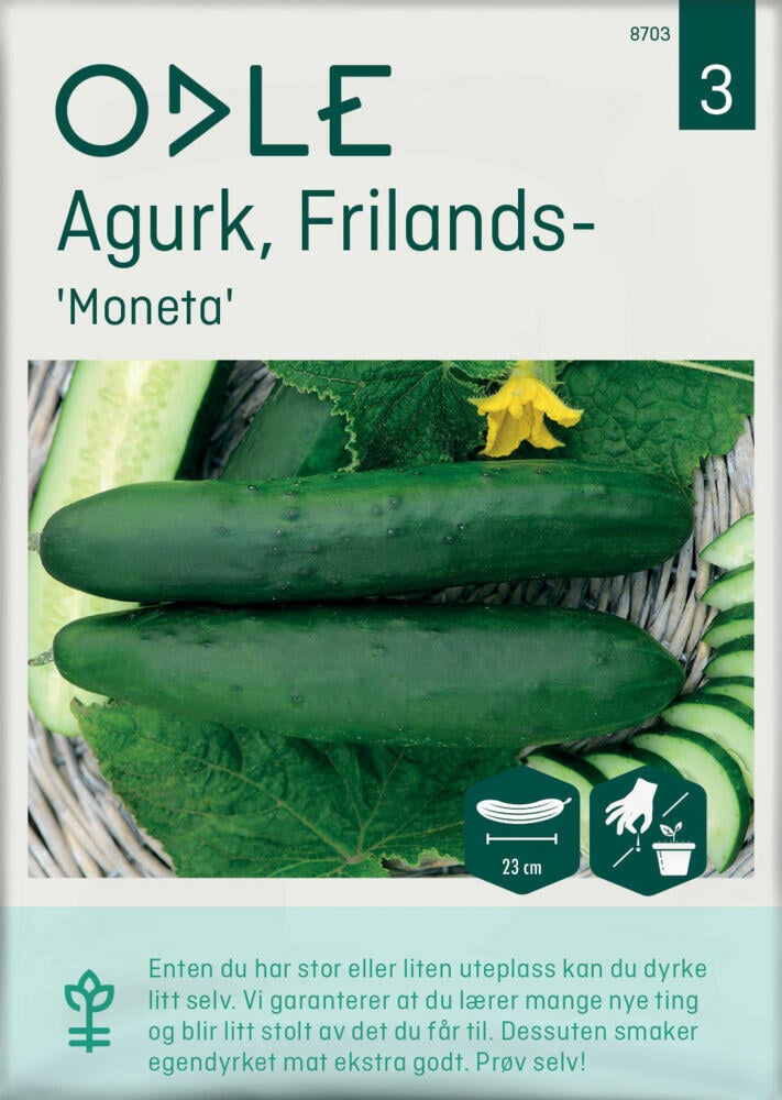 Odle ' Moneta' frilands- agurk frø