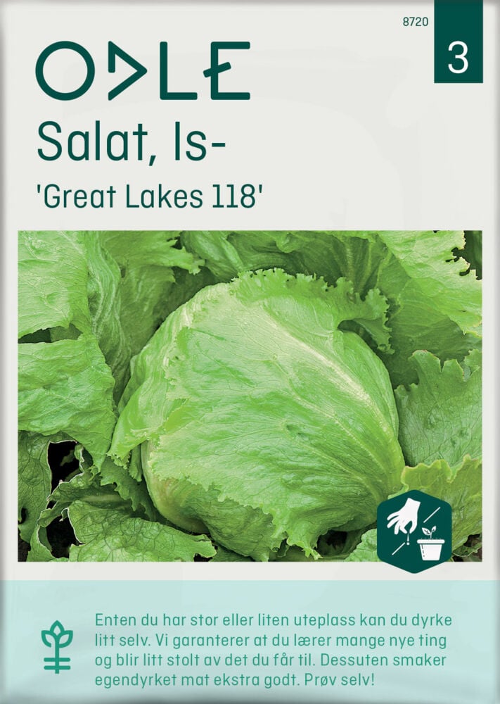 Odle 'Great Lakes118'  issalat frø