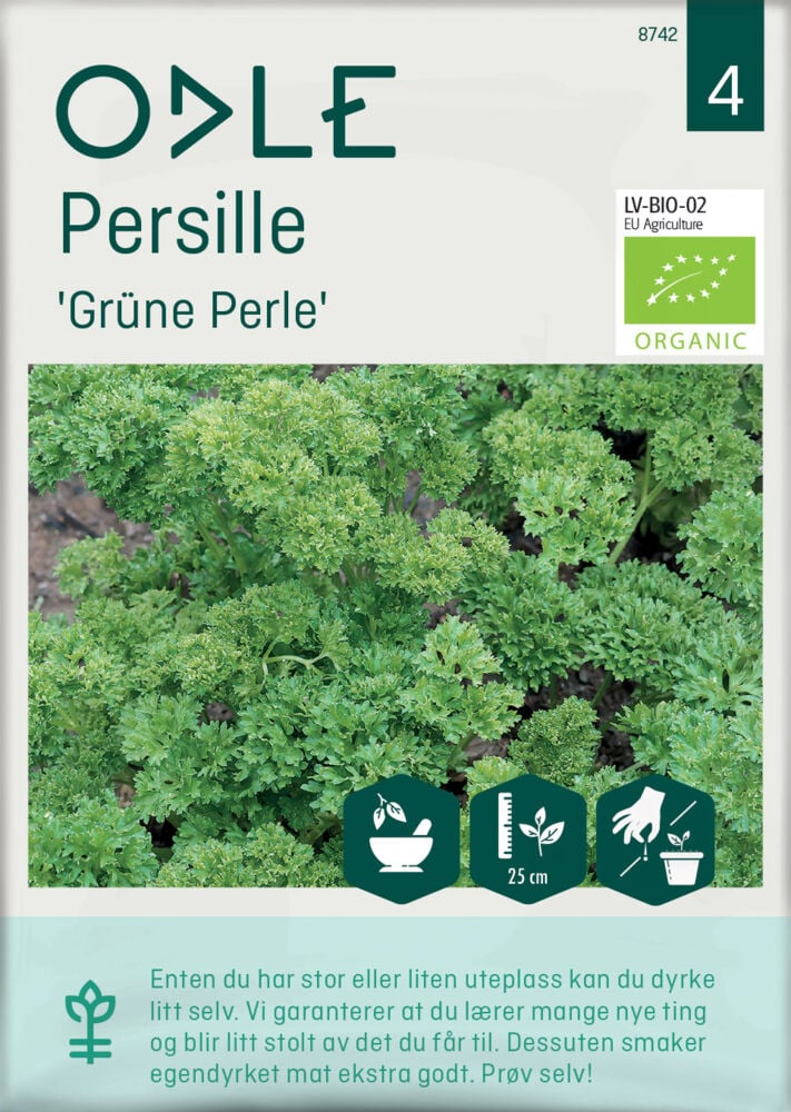 Odle 'Grüne Perle' persille frø