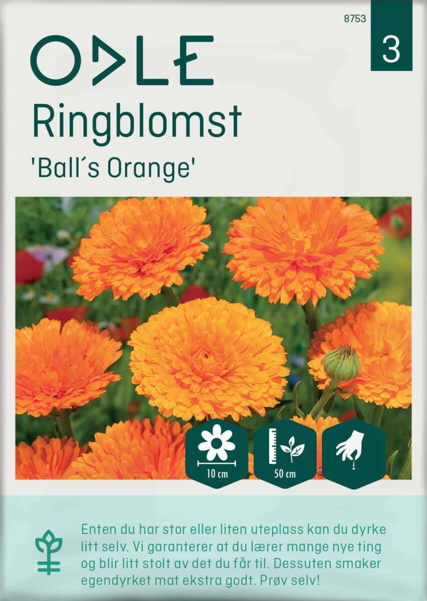 Odle 'BallS Orange' ringblomst frø