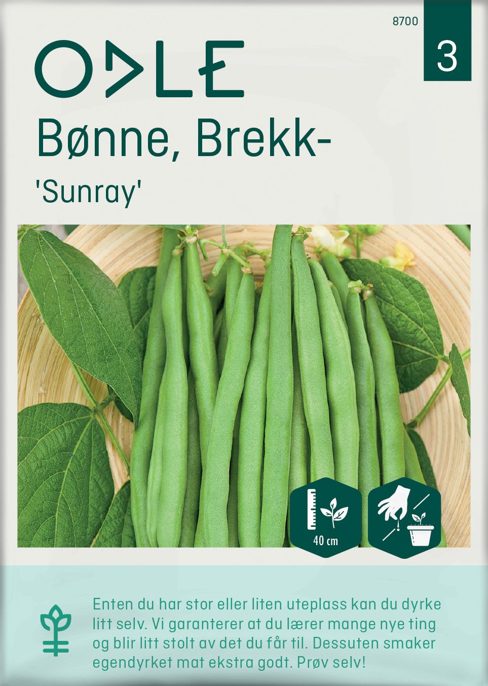 Odle 'Sunray' brekkbønne frø