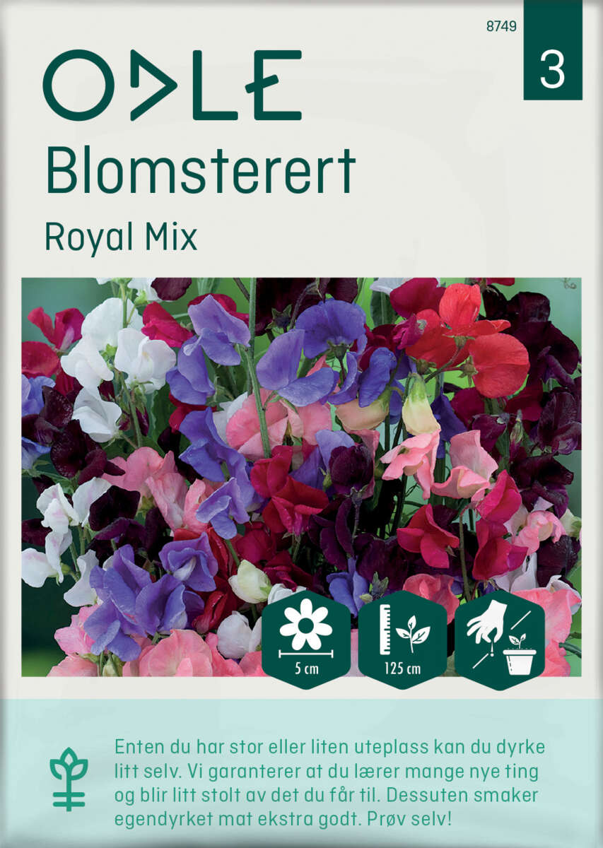Odle 'Royal Mix' blomsterert frø