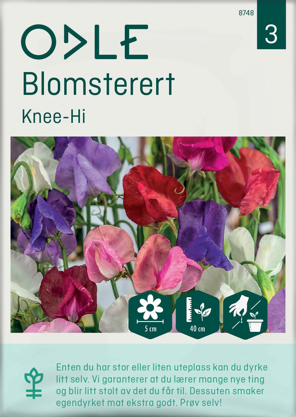 Odle 'Knee-Hi' blomsterert frø