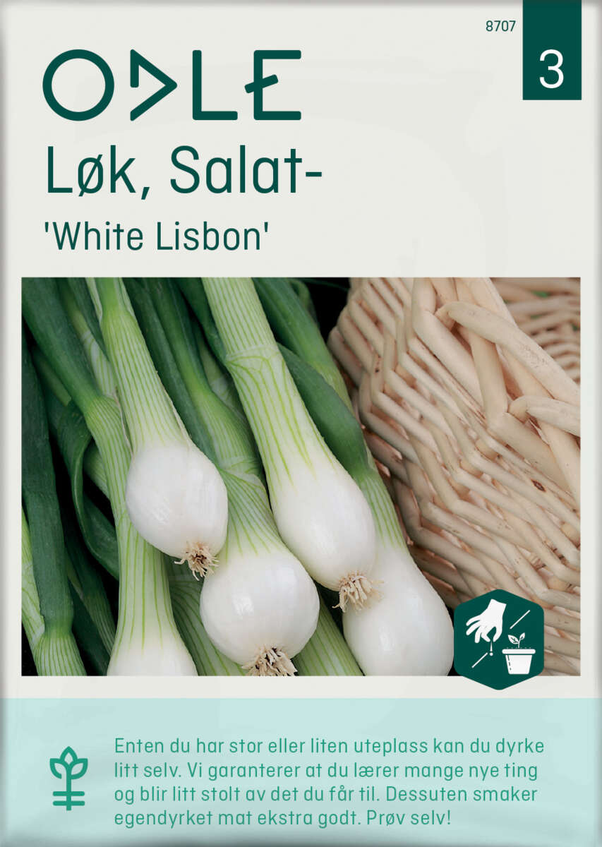 Odle 'White Lisbon' salat løk frø