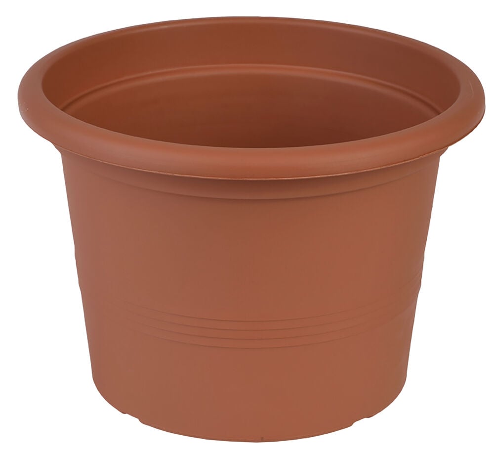 Odle blomsterpotte