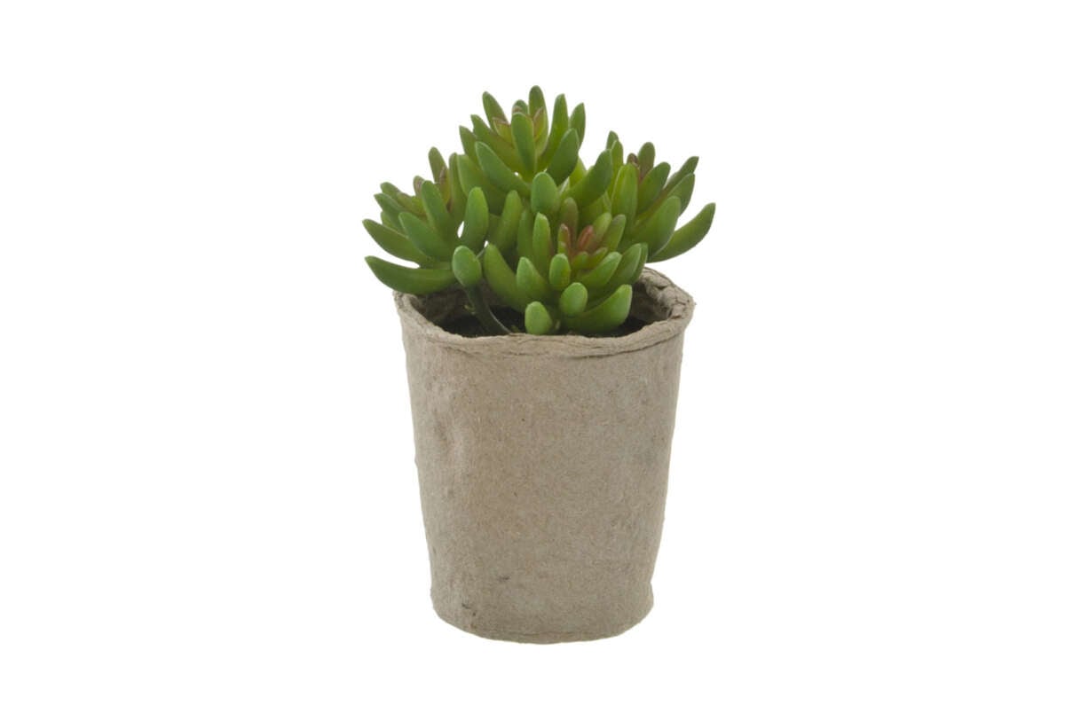 Kunstig plante med pappotte